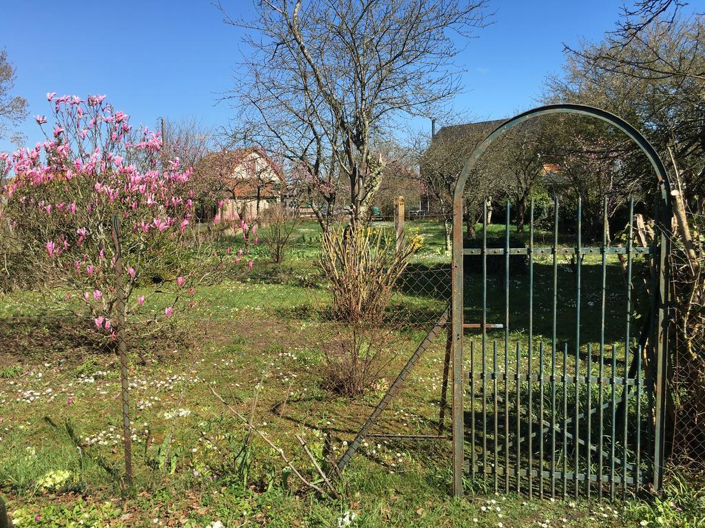 Chez Jeannette Villa Saint-Satur Bagian luar foto